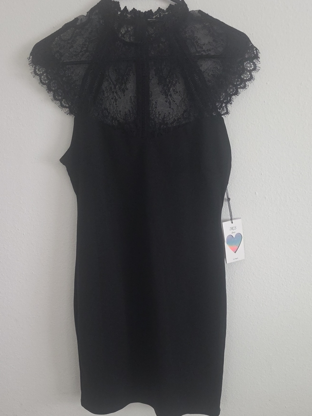 iris Black Lace Yoke Mini Dress